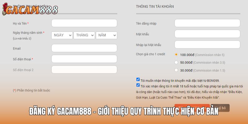 Đăng Ký GACAM888 - Giới Thiệu Quy Trình Thực Hiện Cơ Bản