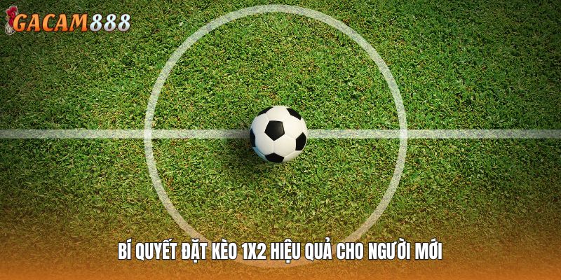 Bí quyết đặt kèo 1x2 hiệu quả cho người mới