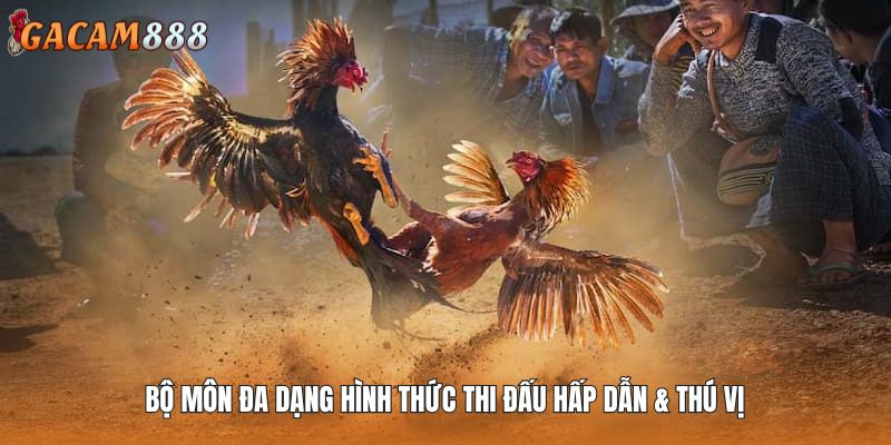Bộ môn đa dạng hình thức thi đấu hấp dẫn & thú vị