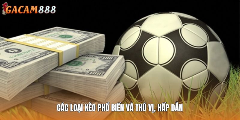 Các loại kèo phổ biến và thú vị, hấp dẫn