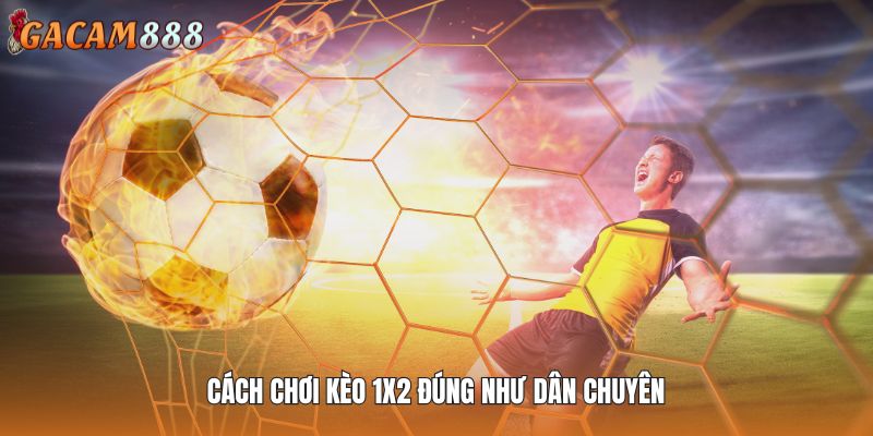 Cách chơi kèo 1x2 đúng như dân chuyên