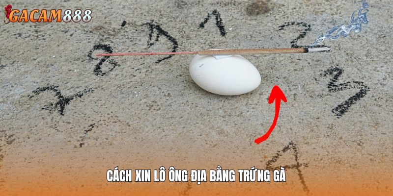 Cách xin lô ông địa bằng trứng gà