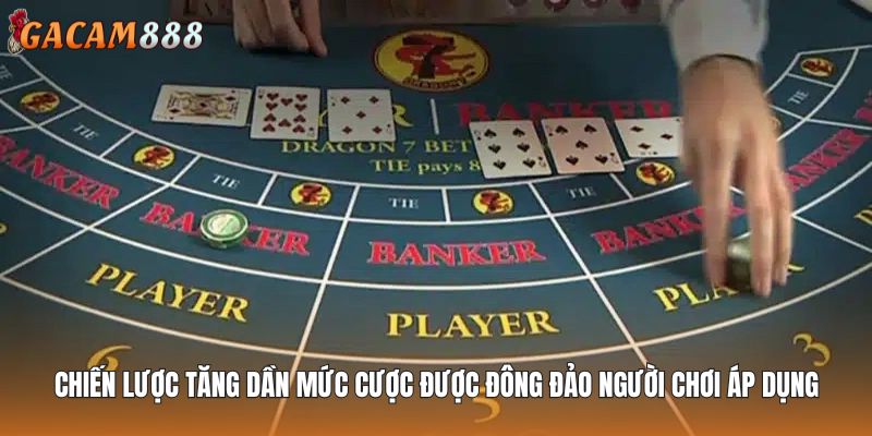 Chiến lược tăng dần mức cược được đông đảo người chơi áp dụng