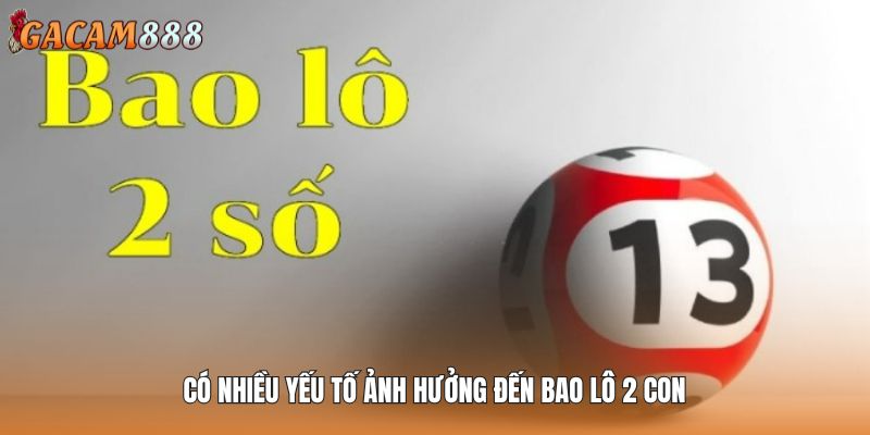 Có nhiều yếu tố ảnh hưởng đến bao lô 2 con