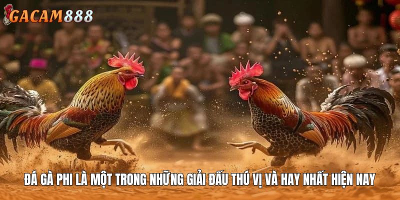 Đá gà Phi là một trong những giải đấu thú vị và hay nhất hiện nay