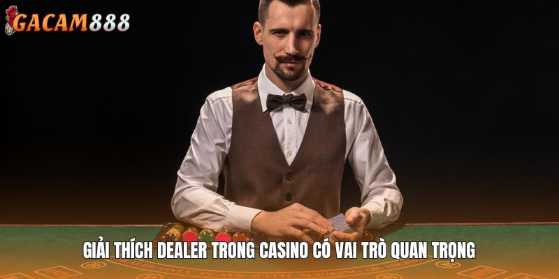 Giải thích Dealer trong casino có vai trò quan trọng