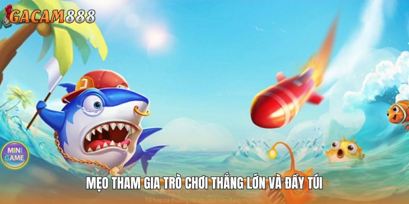 Mẹo tham gia trò chơi thắng lớn và đầy túi