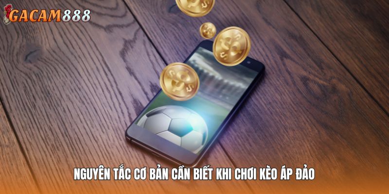 Nguyên tắc cơ bản cần biết khi chơi kèo áp đảo
