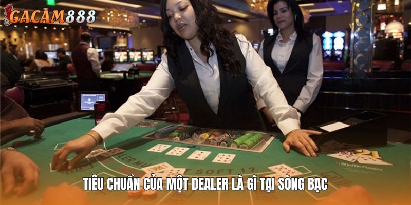 Tiêu chuẩn của một Dealer là gì tại sòng bạc